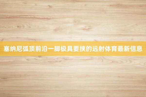 塞纳尼弧顶前沿一脚极具要挟的远射体育最新信息