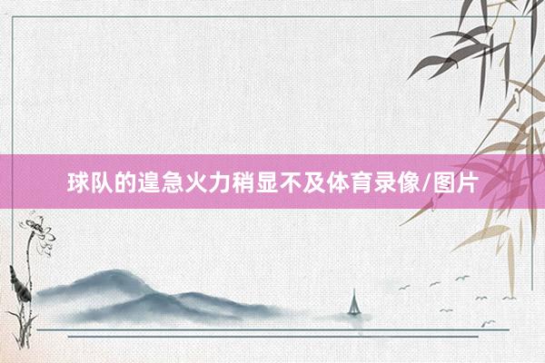 球队的遑急火力稍显不及体育录像/图片