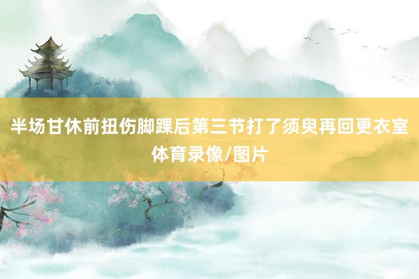 半场甘休前扭伤脚踝后第三节打了须臾再回更衣室体育录像/图片
