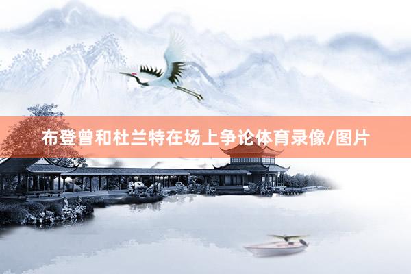 布登曾和杜兰特在场上争论体育录像/图片