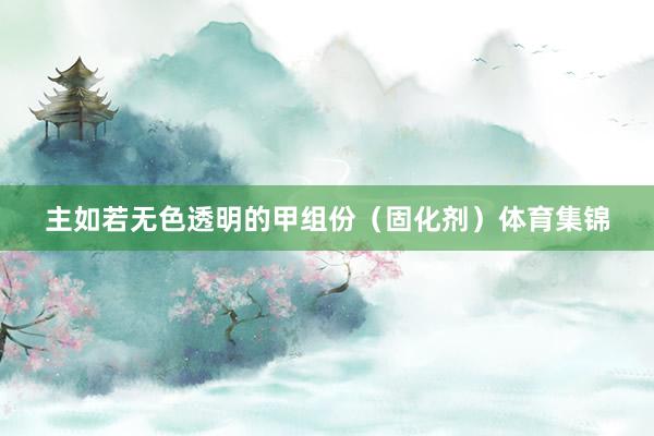 主如若无色透明的甲组份（固化剂）体育集锦