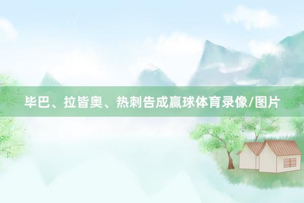 毕巴、拉皆奥、热刺告成赢球体育录像/图片