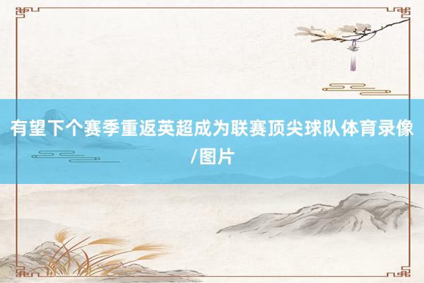 有望下个赛季重返英超成为联赛顶尖球队体育录像/图片