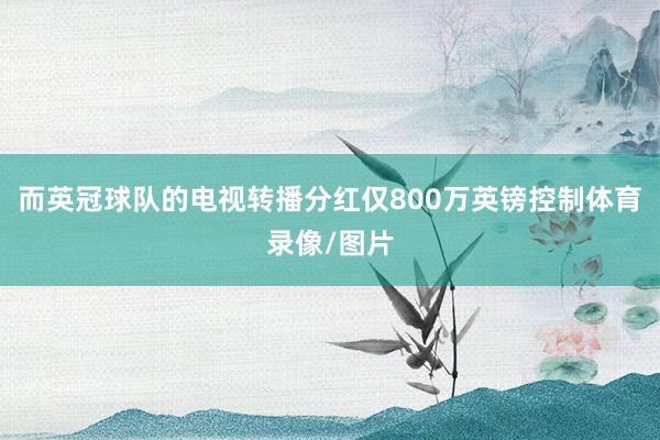 而英冠球队的电视转播分红仅800万英镑控制体育录像/图片