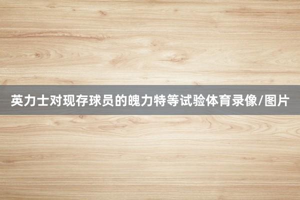 英力士对现存球员的魄力特等试验体育录像/图片