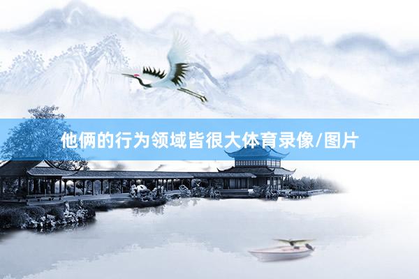 他俩的行为领域皆很大体育录像/图片