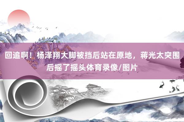 回追啊！杨泽翔大脚被挡后站在原地，蒋光太突围后摇了摇头体育录像/图片