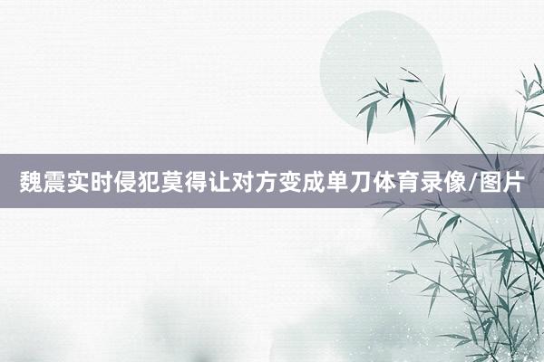 魏震实时侵犯莫得让对方变成单刀体育录像/图片