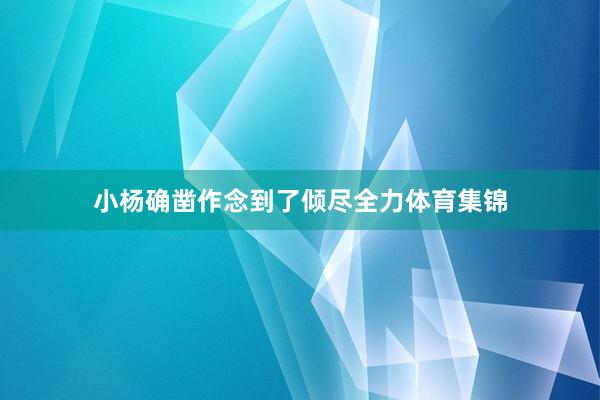 小杨确凿作念到了倾尽全力体育集锦