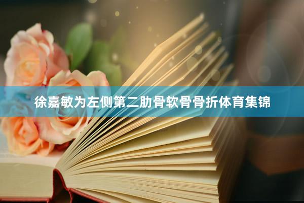 徐嘉敏为左侧第二肋骨软骨骨折体育集锦