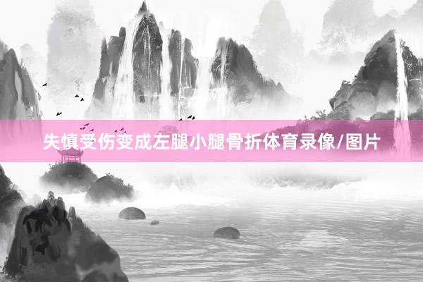 失慎受伤变成左腿小腿骨折体育录像/图片