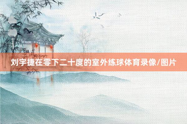 刘宇捷在零下二十度的室外练球体育录像/图片