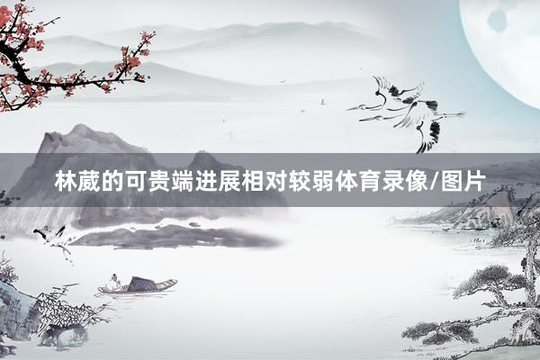 林葳的可贵端进展相对较弱体育录像/图片