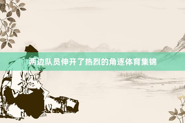 两边队员伸开了热烈的角逐体育集锦