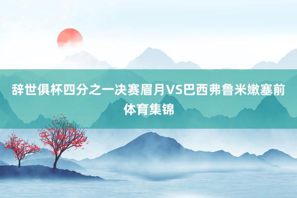 辞世俱杯四分之一决赛眉月VS巴西弗鲁米嫩塞前体育集锦