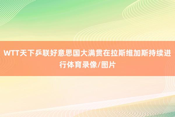 WTT天下乒联好意思国大满贯在拉斯维加斯持续进行体育录像/图片