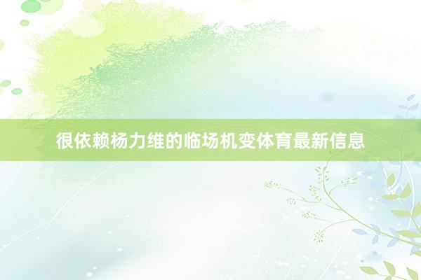 很依赖杨力维的临场机变体育最新信息