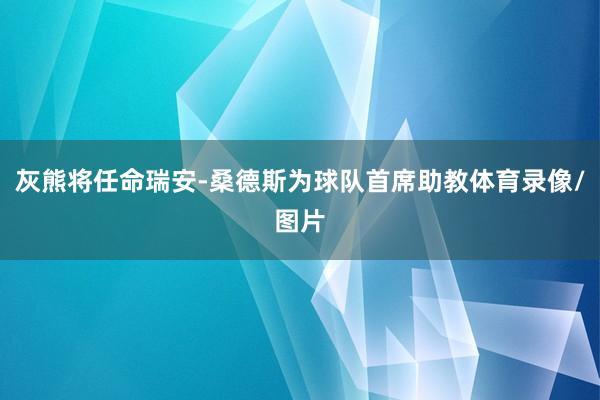 灰熊将任命瑞安-桑德斯为球队首席助教体育录像/图片