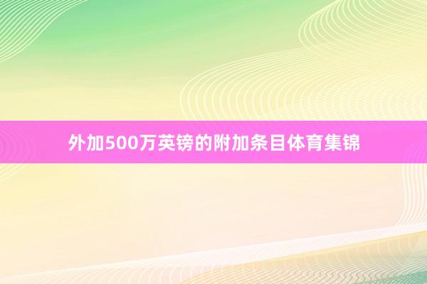 外加500万英镑的附加条目体育集锦