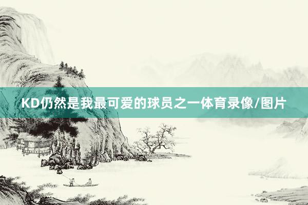 KD仍然是我最可爱的球员之一体育录像/图片