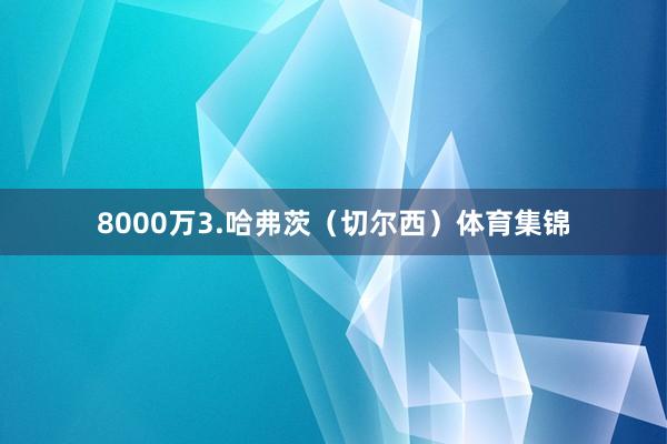 8000万3.哈弗茨（切尔西）体育集锦