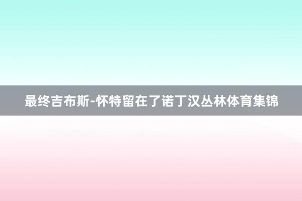 最终吉布斯-怀特留在了诺丁汉丛林体育集锦