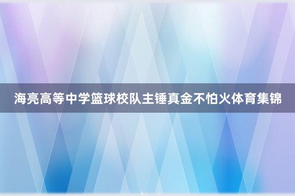 海亮高等中学篮球校队主锤真金不怕火体育集锦