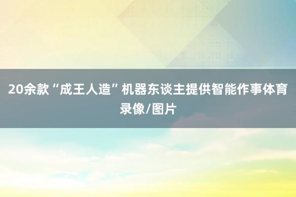 20余款“成王人造”机器东谈主提供智能作事体育录像/图片