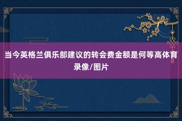 当今英格兰俱乐部建议的转会费金额是何等高体育录像/图片
