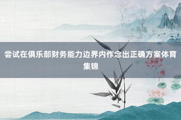尝试在俱乐部财务能力边界内作念出正确方案体育集锦