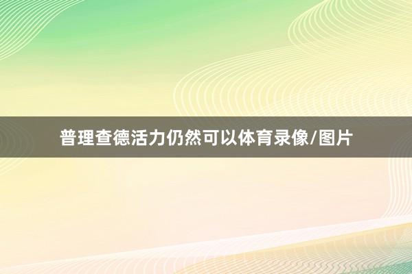 普理查德活力仍然可以体育录像/图片