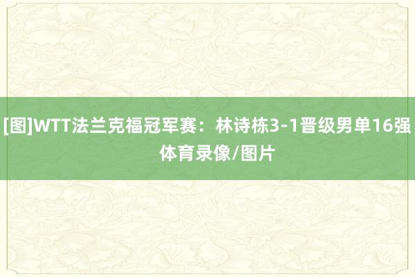 [图]WTT法兰克福冠军赛：林诗栋3-1晋级男单16强    体育录像/图片