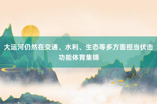 大运河仍然在交通、水利、生态等多方面担当伏击功能体育集锦