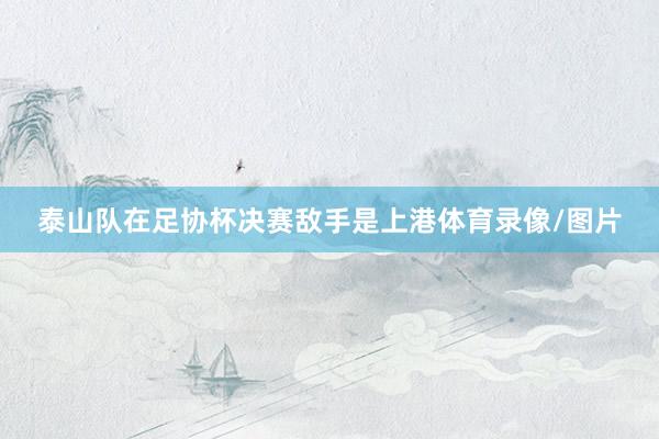 泰山队在足协杯决赛敌手是上港体育录像/图片