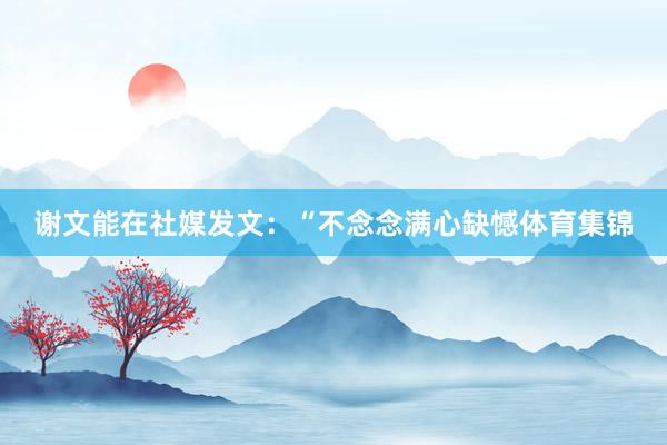 谢文能在社媒发文：“不念念满心缺憾体育集锦