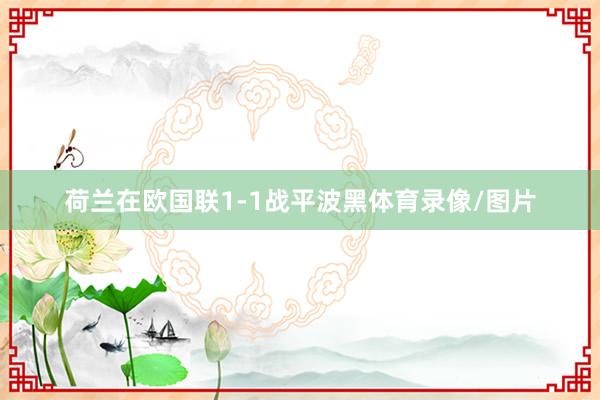 荷兰在欧国联1-1战平波黑体育录像/图片