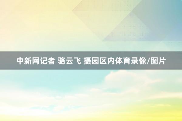 中新网记者 骆云飞 摄园区内体育录像/图片