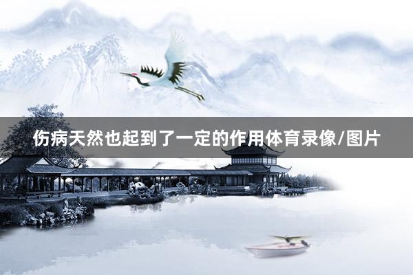 伤病天然也起到了一定的作用体育录像/图片