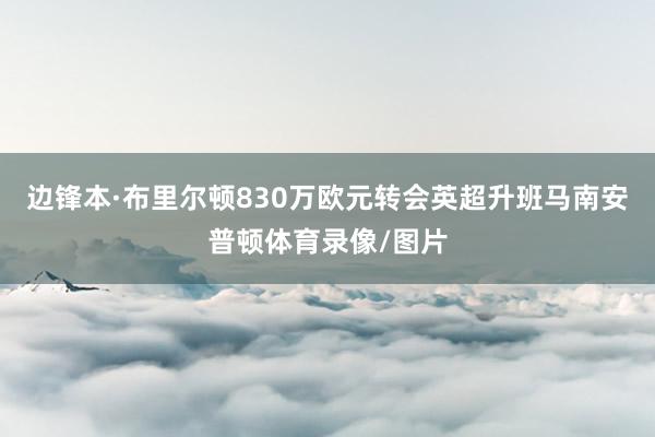 边锋本·布里尔顿830万欧元转会英超升班马南安普顿体育录像/图片
