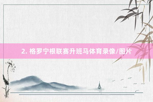 2. 格罗宁根联赛升班马体育录像/图片