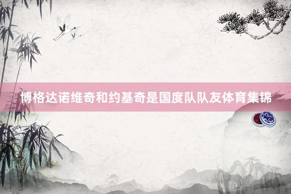 博格达诺维奇和约基奇是国度队队友体育集锦
