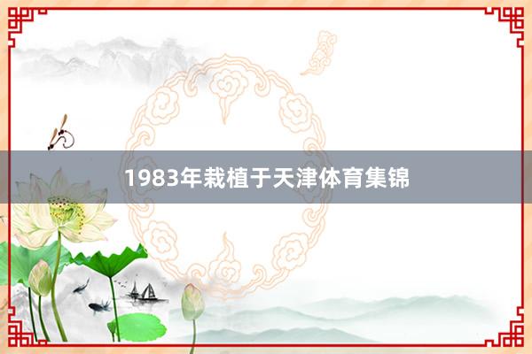 1983年栽植于天津体育集锦