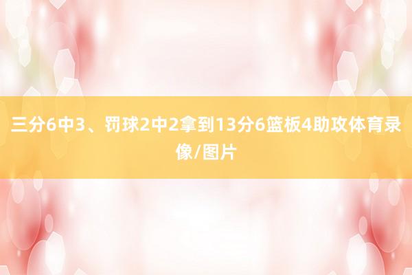 三分6中3、罚球2中2拿到13分6篮板4助攻体育录像/图片
