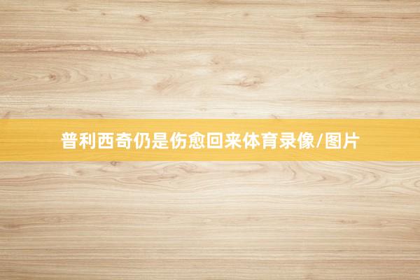 普利西奇仍是伤愈回来体育录像/图片