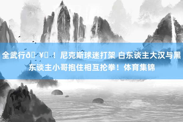 全武行🥊！尼克斯球迷打架 白东谈主大汉与黑东谈主小哥抱住相互抡拳！体育集锦