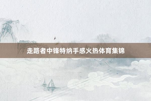 走路者中锋特纳手感火热体育集锦