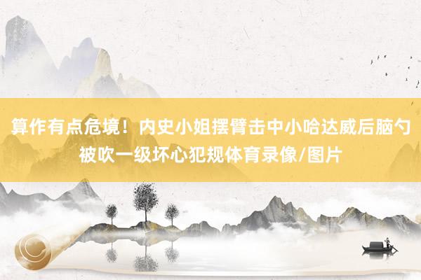 算作有点危境！内史小姐摆臂击中小哈达威后脑勺被吹一级坏心犯规体育录像/图片