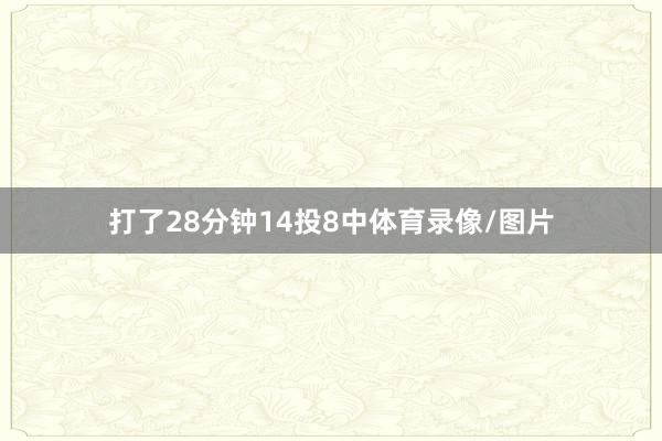 打了28分钟14投8中体育录像/图片