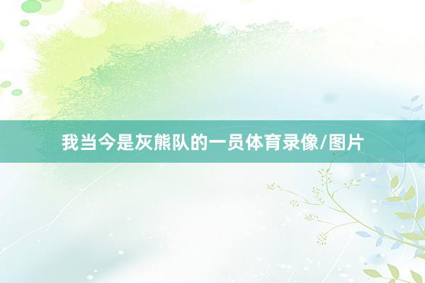 我当今是灰熊队的一员体育录像/图片