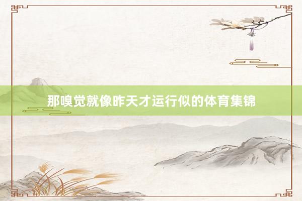那嗅觉就像昨天才运行似的体育集锦